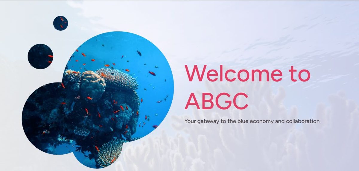 Figure 3.1 — The ABGC Digital Platform landing page at southadriaticskills.org